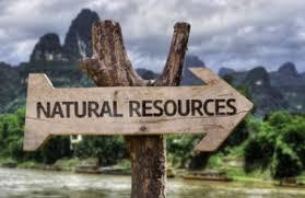 The 20 Best Master's IN Natural Resource Management For 2022 - Business  Management Degrees
